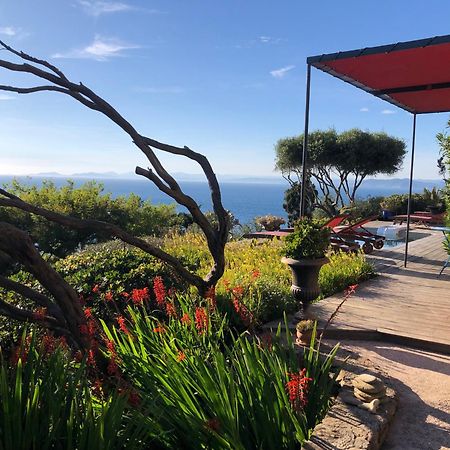 Villa Mirabel Île du Levant Exteriér fotografie