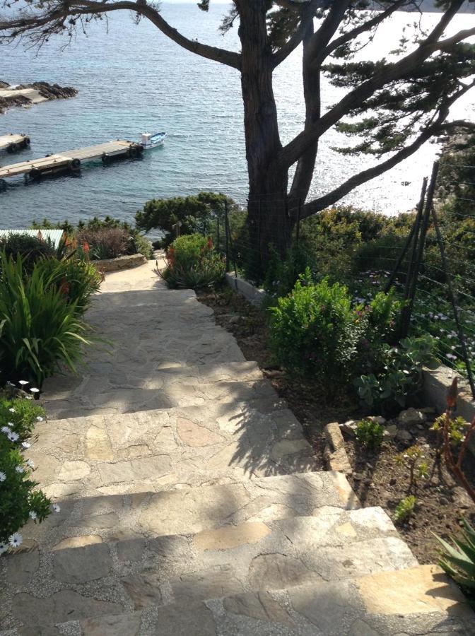Villa Mirabel Île du Levant Exteriér fotografie